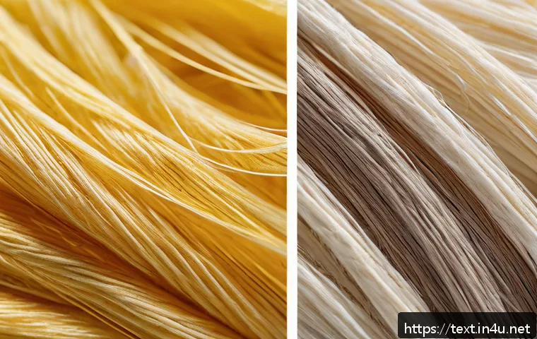 섬유기사 필기 과목별 요약 노트 - A detailed scientific illustration of natural and synthetic fibers side by side: showing close-up te...